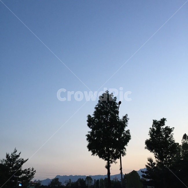 나무,nature,하늘,풍경,새벽,자연,자연,풍경,nature,landscape,silhouette,실루엣,tree,plant,식물