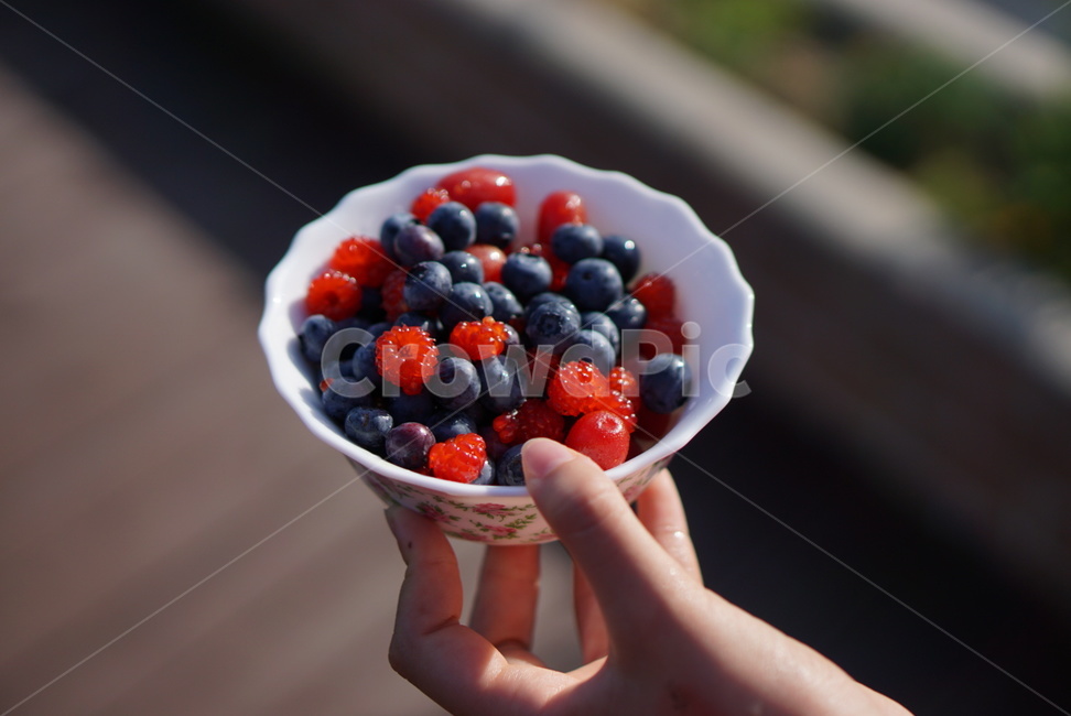 블루베리,산딸기,베리,blueberry,과일,손,여름과일,human,person,food,fruit,사람,사람손,신체일부,몸,body,과일,열매,fruit