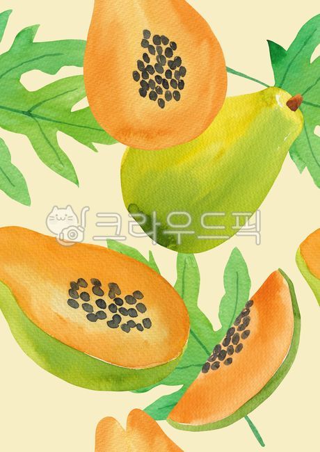 papaya,summer plants,fruit,pattern,summer,drawing,season,drawn,hand,seamless,handwork,nature,hand drawing,texture,continuity,continuous pattern,leaf,food,tropical,tropical leaves,watercolor,painting,background,tropics,plant,illustration,tropical plants,Wa