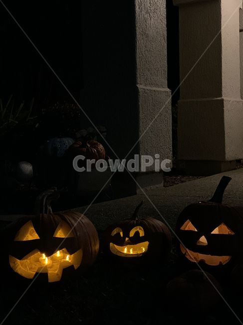잭오랜턴,할로윈,호박,호박등,jackolantern,pumpkin,halloween,기념일,축하,anniversary,congratulation,celebrate,celebration