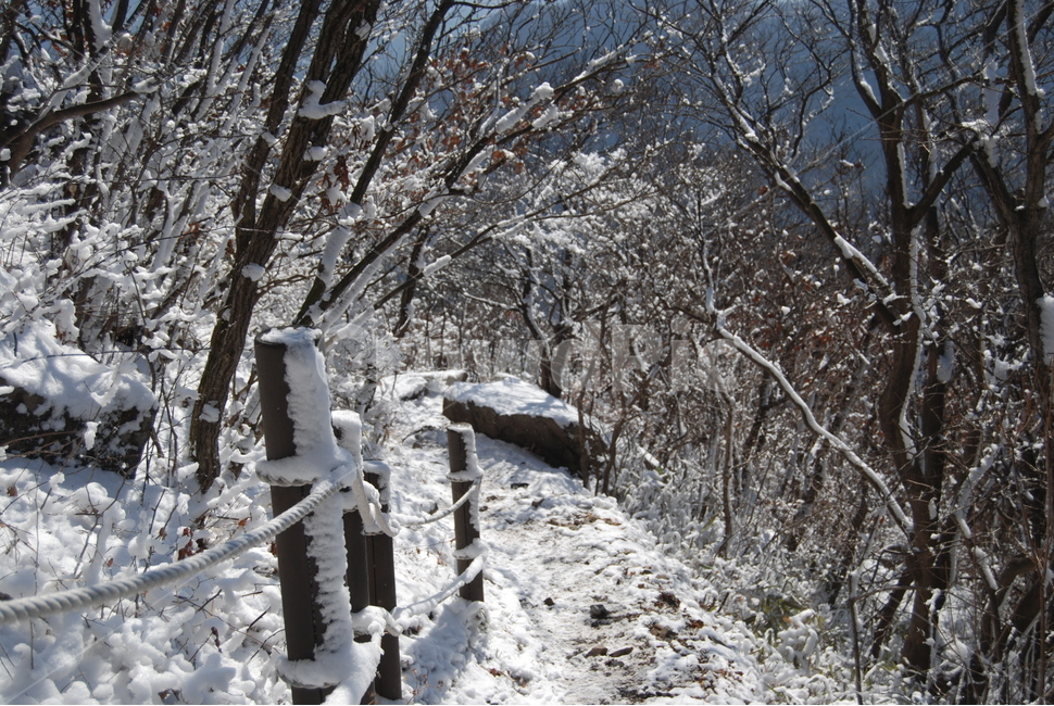 방장산,자연휴양림,휴식,수채화같은,자연의위대함,등산로,능선,아름다움,신비스런산,돌,산행,힐링,자연,감성,등산,계절,여행,한국,한국명산,한국등산,풍경,눈,나무,하늘,바람,바람소리,환경,생태계,산,땅,겨울,계절,winter,season