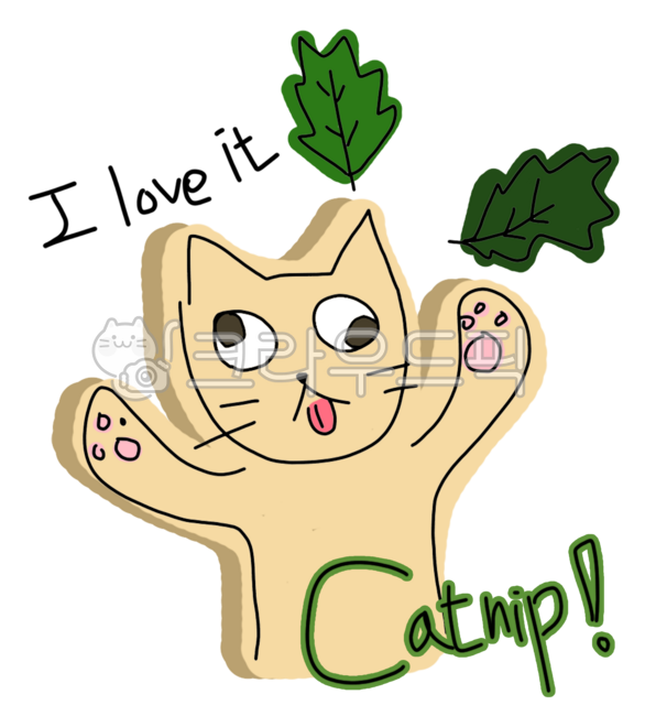 고양이,캣잎,catnip,cat,캣닢