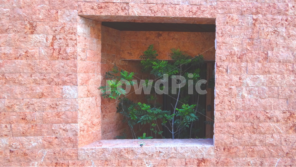 벽,나무,분홍,산책,네모,감성,감성사진,핑크,초록,그린,green,daily,wall,tree,walking,식물,자연,plants,nature,인테리어,실내디자인,interior design
