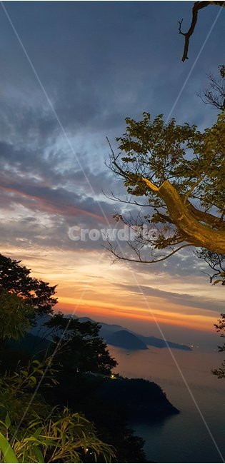 향일암,해뜨기전,일출,돌산읍,바다,자연,풍경,nature,landscape