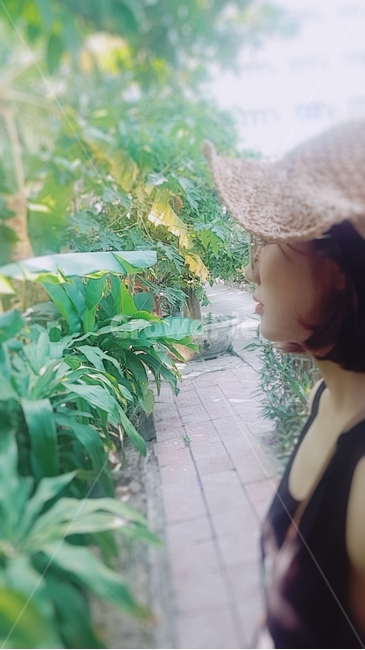 정원,garden,여름,동남아,휴양