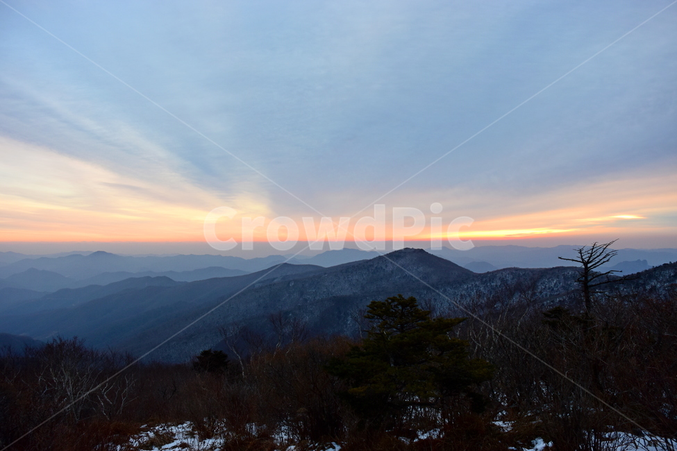 태백산,여명,일출,겨울,풍경,mountain,nature,landspace,신비로운,경이로운,아름다운,비경,계절,자연,mountain range,산맥,outdoors,옥외,산
