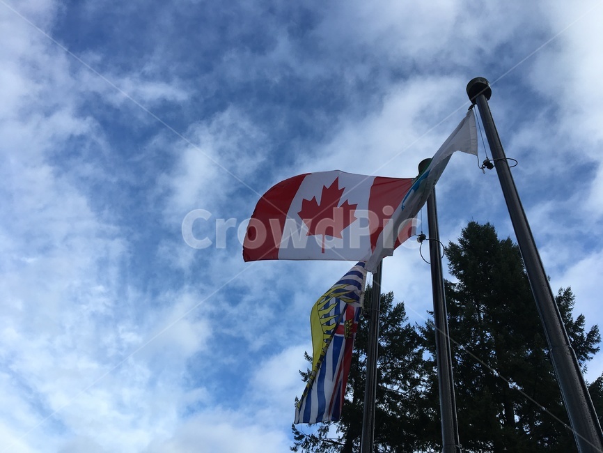 깃발,symbol,상징,flag,캐나다