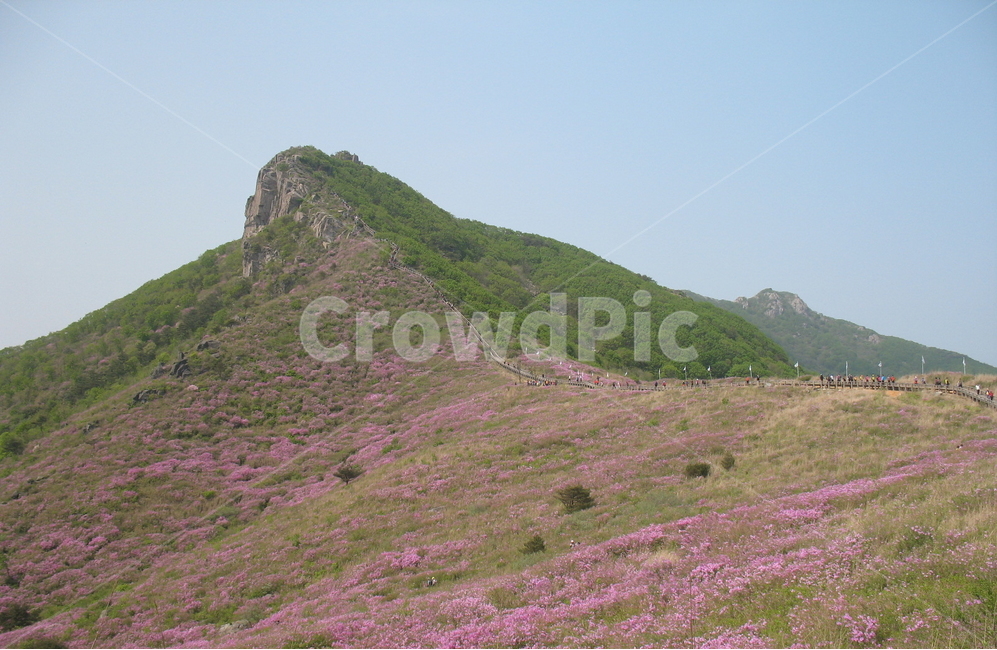 황매산,철쭉,합천,황매평전,철쭉제,봄,계절,spring,season,자연,풍경,nature,landscape,한국자연풍경,한국자연경관,korea nature landscape,slope,경사,outdoors,옥외,grassland,목초지,field,들