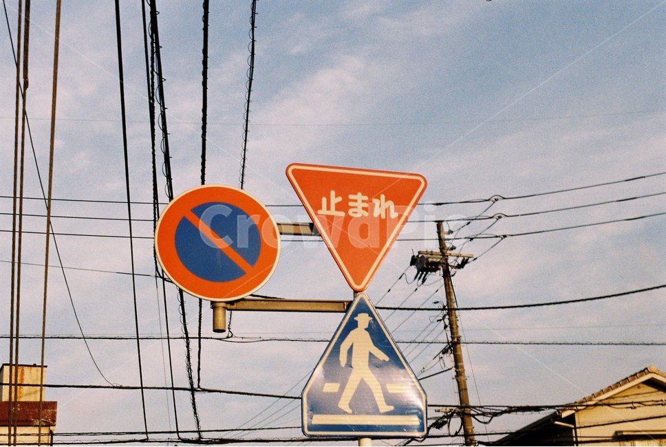 일본표지판,교통표지판,필름사진,일본,전신주,japan,sign,trafficsign