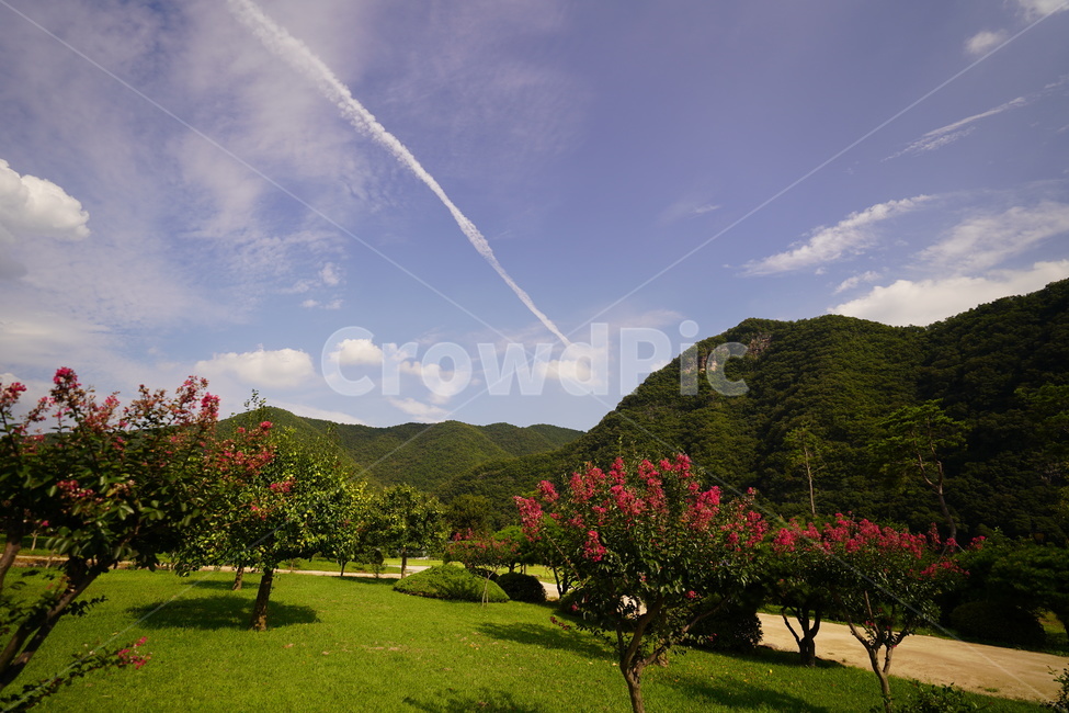 병산서원근처,경치,봄,나무,꽃,자연,풍경,nature,landscape