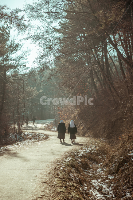 풍경,겨울,사람,자연,nature
