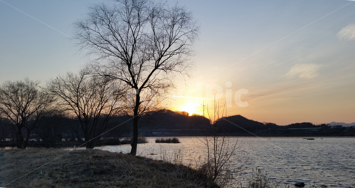 자연,옥외,nature,남한강변,산책로,노을,나무,하늘