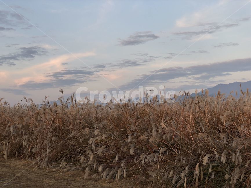 nature,자연,outdoors,옥외,sky,redsky,일몰,sunset,하늘,붉은하늘,dusk,황혼,dawn,새벽,빛,light,플레어,flare