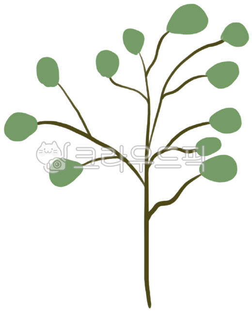 올리브나무,나무모양,올리브잎,올리브가지잎,잎모양나무