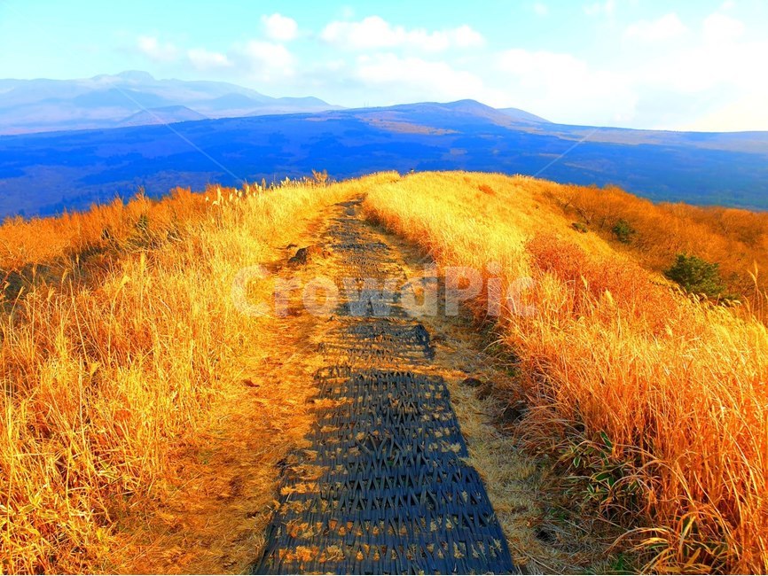 nature,자연,자갈,road,outdoors,흙길,dirtroad,도로,산,대지,자연,풍경,nature,landscape