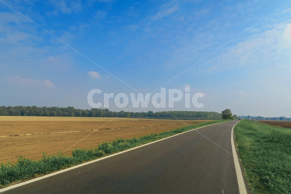 시골,하늘,길,도로,road,아스팔트