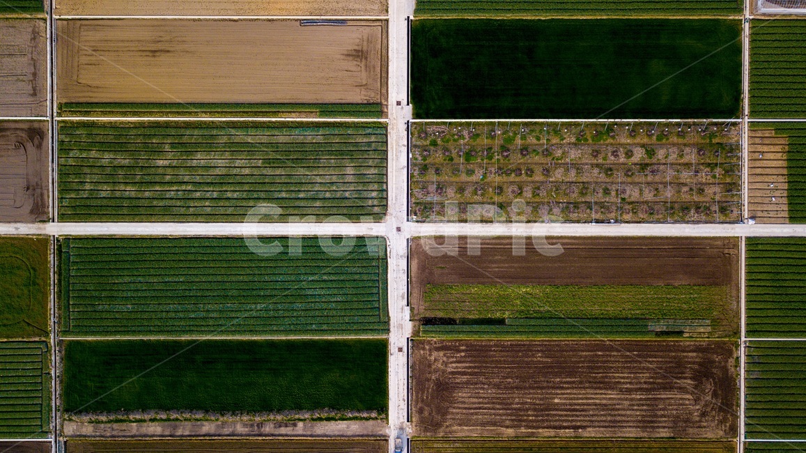 밭,드론,시골,녹색,논길,산업,industry,industrial,농업,농사,agriculture,farming,farming industry