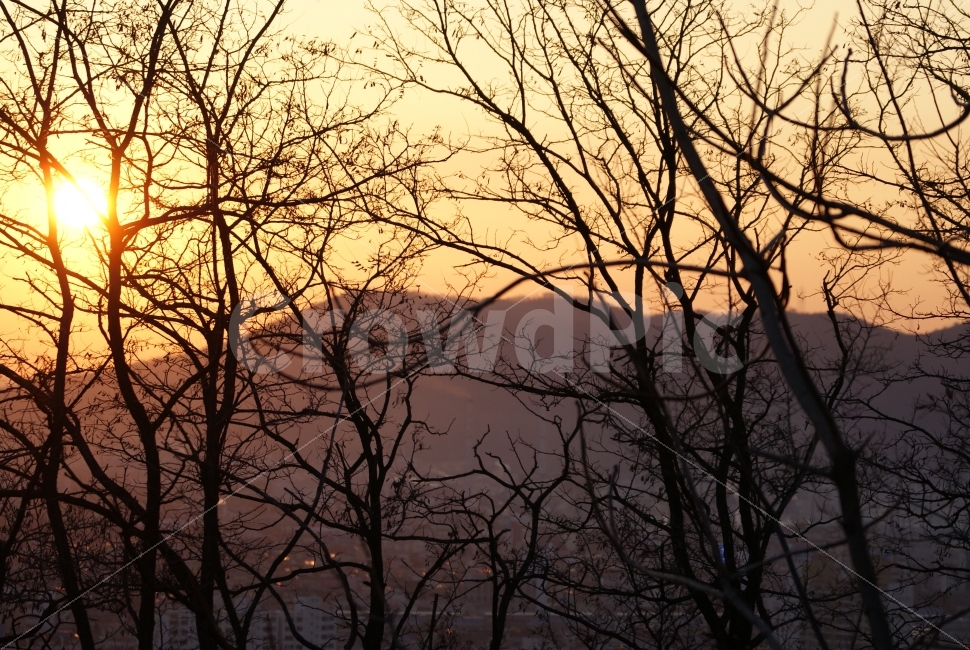 일몰,해,지는,느리게,마감,천천히,힐링,공원,자연,오후,식물,자연,plants,nature,도시,풍경,city,landscape,outdoors,옥외,sky,하늘,dusk,황혼,dawn,새벽,red sky,붉은 하늘,sunset