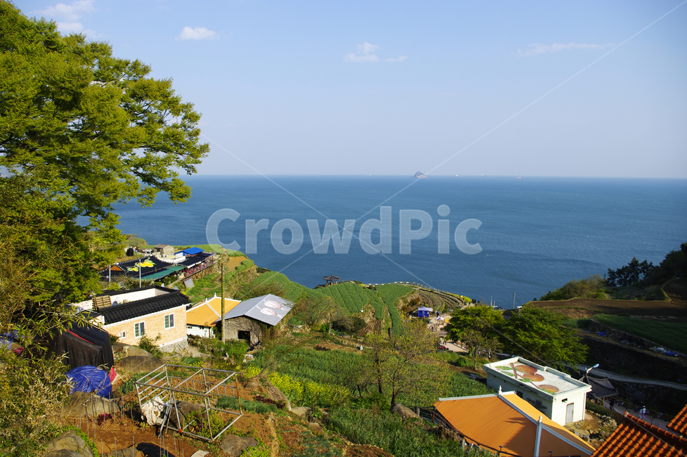 남해,가천마을,다랑이마을,다랑이,풍경,나무,바다,논,마을,시골,마을,풍경,landscape,country,rural,town