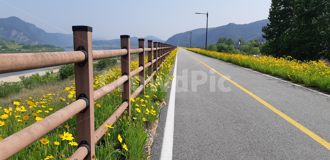 도로,아스팔트,asphalt,자전거,꽃,유채꽃,봄,자연,풍경,하늘,구름,nature,spring,계절,산길,산