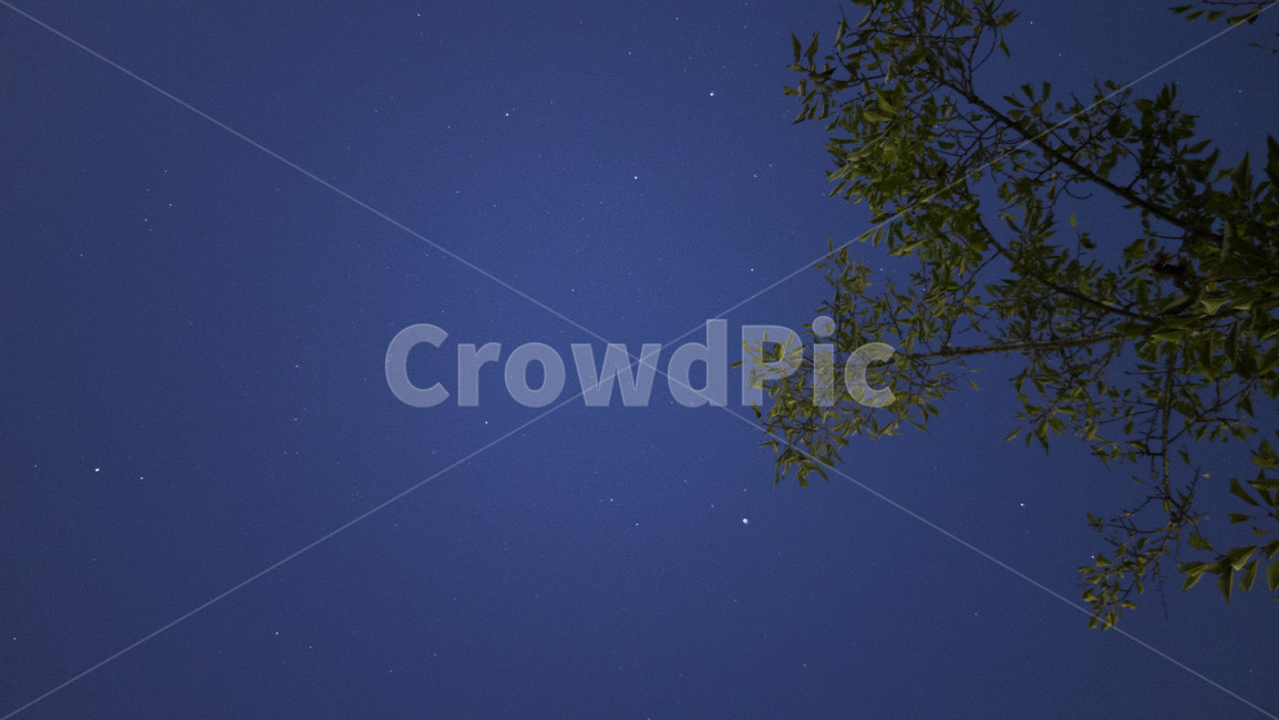 nature,자연,outdoors,옥외,별이빛나는하늘,night,밤,outerspace,우주,space,별,밤하늘,야경,밤,풍경,nightscape,night,landscape,outer space,대기권 밖,astronomy,천문학,universe,starry sky,별이 빛나는 하늘