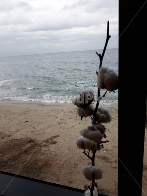 바다,창너머,해변,바닷가,휴식