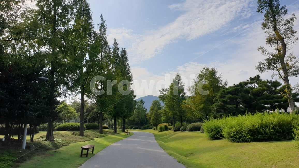 grass,잔디,plant,식물,tree,나무,벤치,bench,자연,풍경,nature,landscape