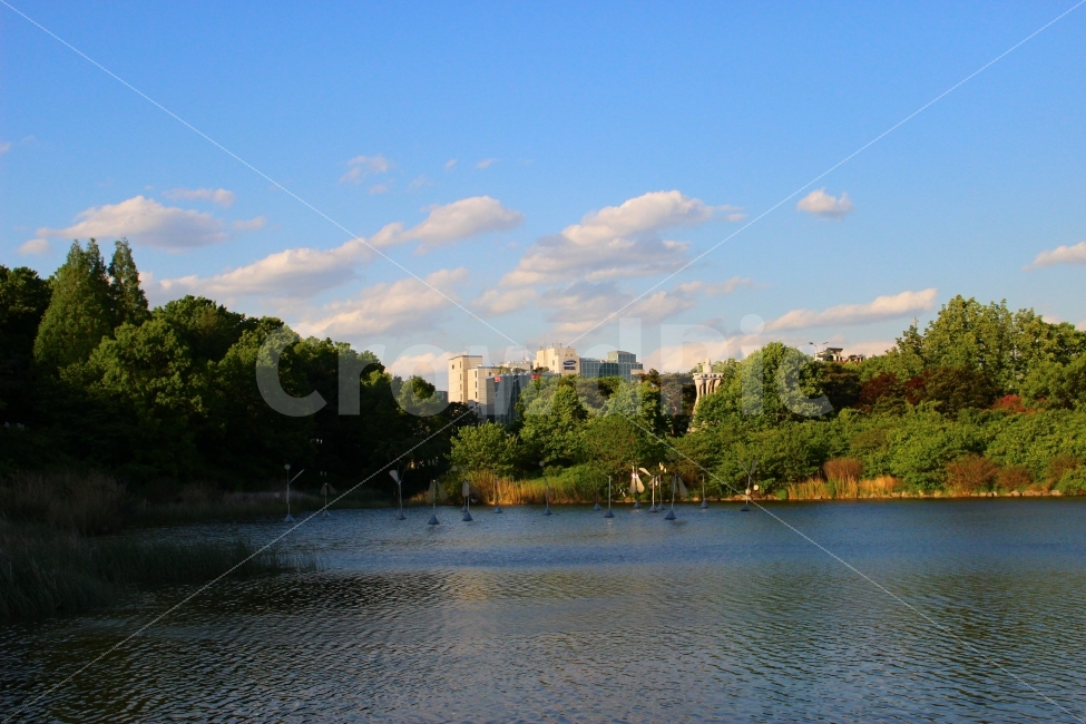 올림픽공원,가을,하늘,자연,풍경,공원,구름,산책,자연,풍경,nature,landscape,water,물,outdoors,옥외,land,땅