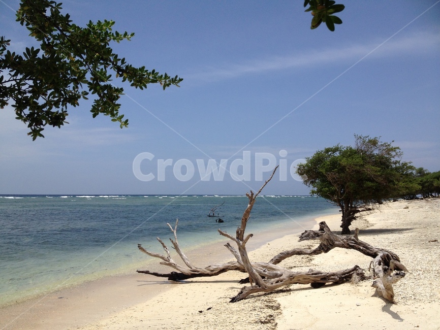 길리,바다,나무,하늘,gili,sea,tree,sky,seaandtrees,고즈넉