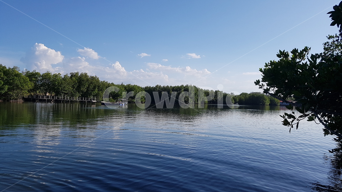 water,물,호수,lake,자연,강,강가