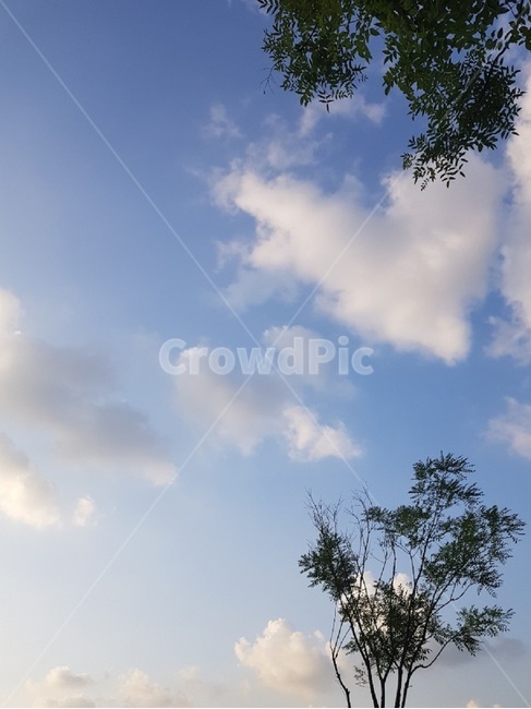 하늘,구름,봄,봄하늘,맑은,화창한,계절,spring,자연,풍경,nature,landscape,outdoors,옥외,tree,나무,plant,식물