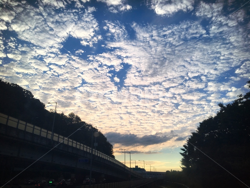 서울,하늘,풍경,서울하늘,도시,한강,도심,구름,맑음,가을하늘,seoul,sky,clear,sunny,city,citylife,view,산,나무,건물,조망,배경,전경,다리,푸른하늘,뭉게구름,대낮,동작동,드라이브,산책,driving,blue,white,그림자,자연,풍경,nature,landscape,road,도로,outdoors,옥외