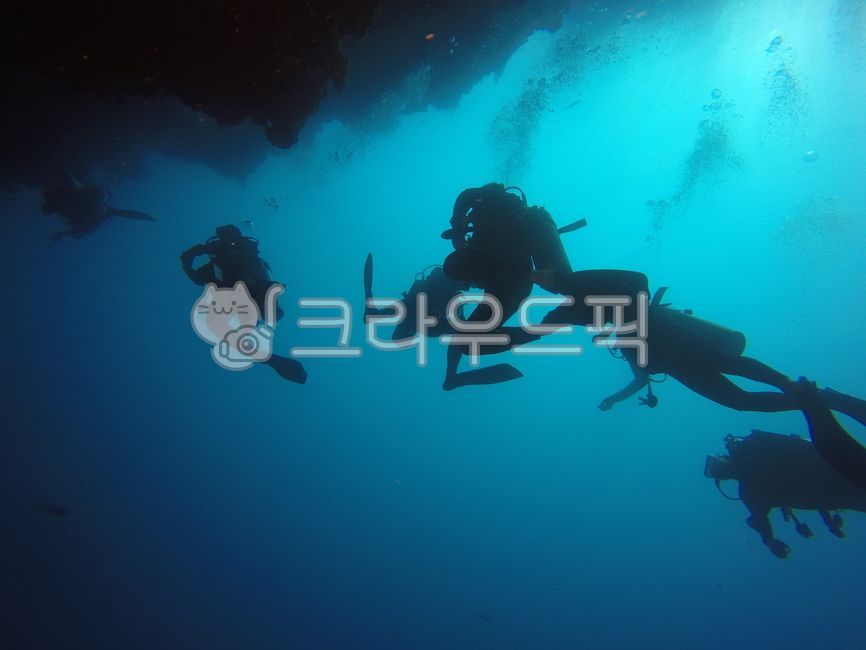 diving,scuba diving,ocean,sports,deep sea,scubadiving,diver,aquascuba,skin scuba