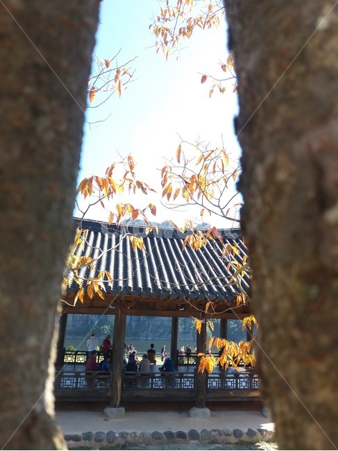 가을,화순,정자,망향정,화순적벽
