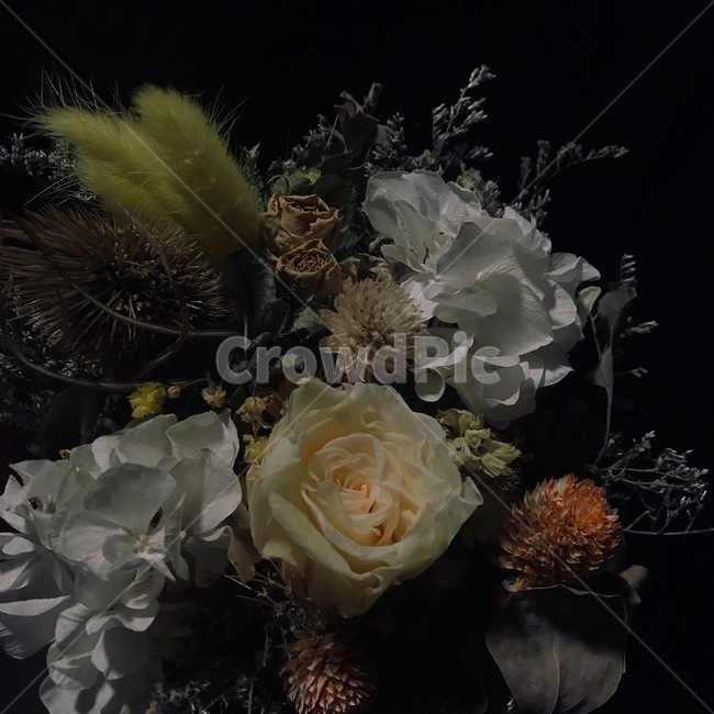 식물,꽃부케,꽃,flowerbouquet,blossom,plant