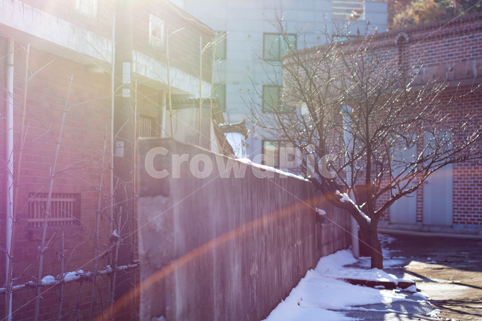 고드름,겨울,플레어,상징,얼음,겨울,계절,winter,season,골목길,alley,nature,자연,outdoors,옥외