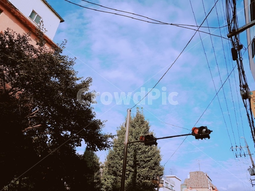 푸른하늘,하늘,나무,날씨,맑음,낮,tree,sunny,sky