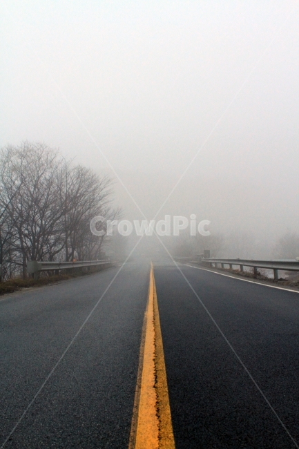 길,안개,도로,새벽,아침,교통,교통수단,traffic,transportation,nature,자연,road