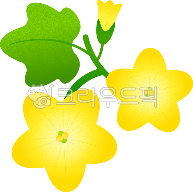 멜론꽃,메론꽃,melonflower,flower,yellowflower,노란꽃,여름꽃,과일꽃,꽃그림,꽃일러스트,flowerillustration,멜론잎,melonleaf,멜론잎그림,멜론잎일러스트,nature,plant,자연,식물,그래픽,graphic,illustration,일러스트