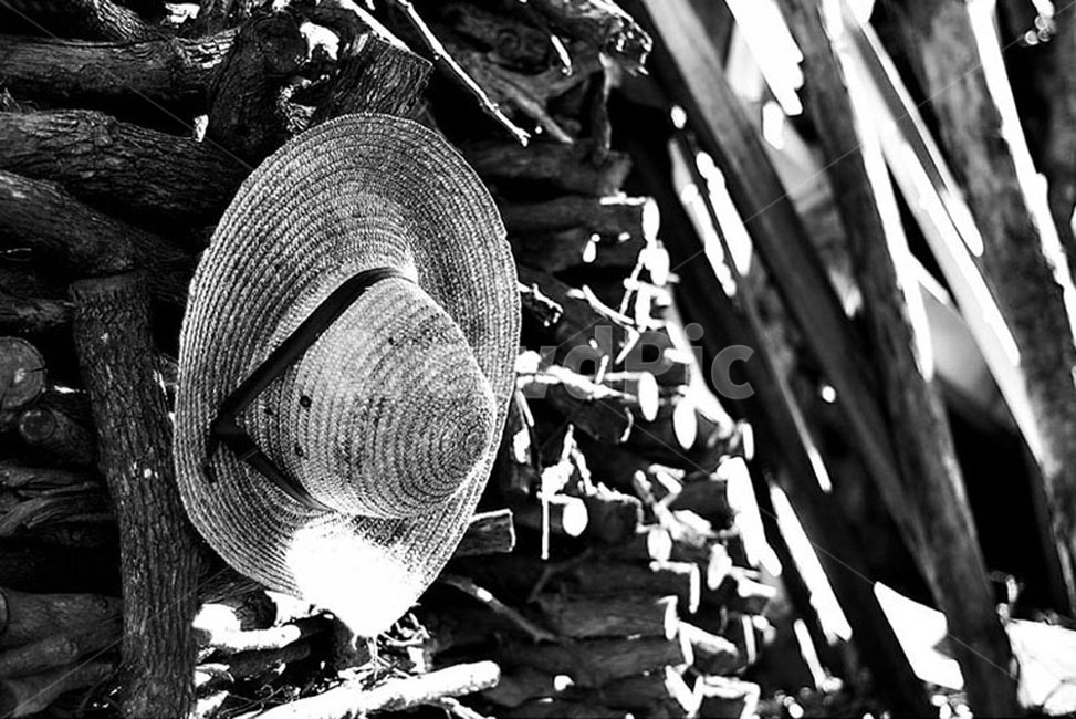 장작,땔감,흑백,밀집모자,분위기,나무땔감,색감,감성,흑백,모노톤,monochrome,black and white