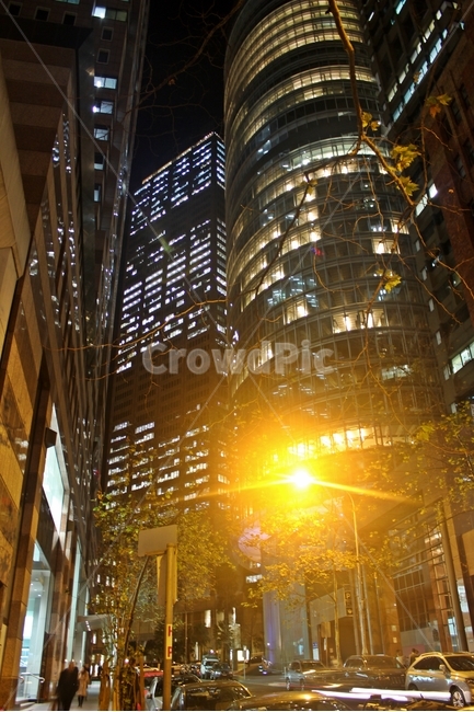 밤거리,가로등,nightstreet,streetlight,시드니빌딩,야경,밤,풍경,nightscape,night,landscape,도시,city,해외,외국,세계,foreign,oversea,world,세계도시풍경,해외도시풍경,외국도시풍경,world cityscape,flare,플레어,light,빛,building,건물,office building,사무실 건물,car,차,automobile,자동차,vehicle,차량,transportation,교통,시티,metropolis,중심지,town,urban,어반