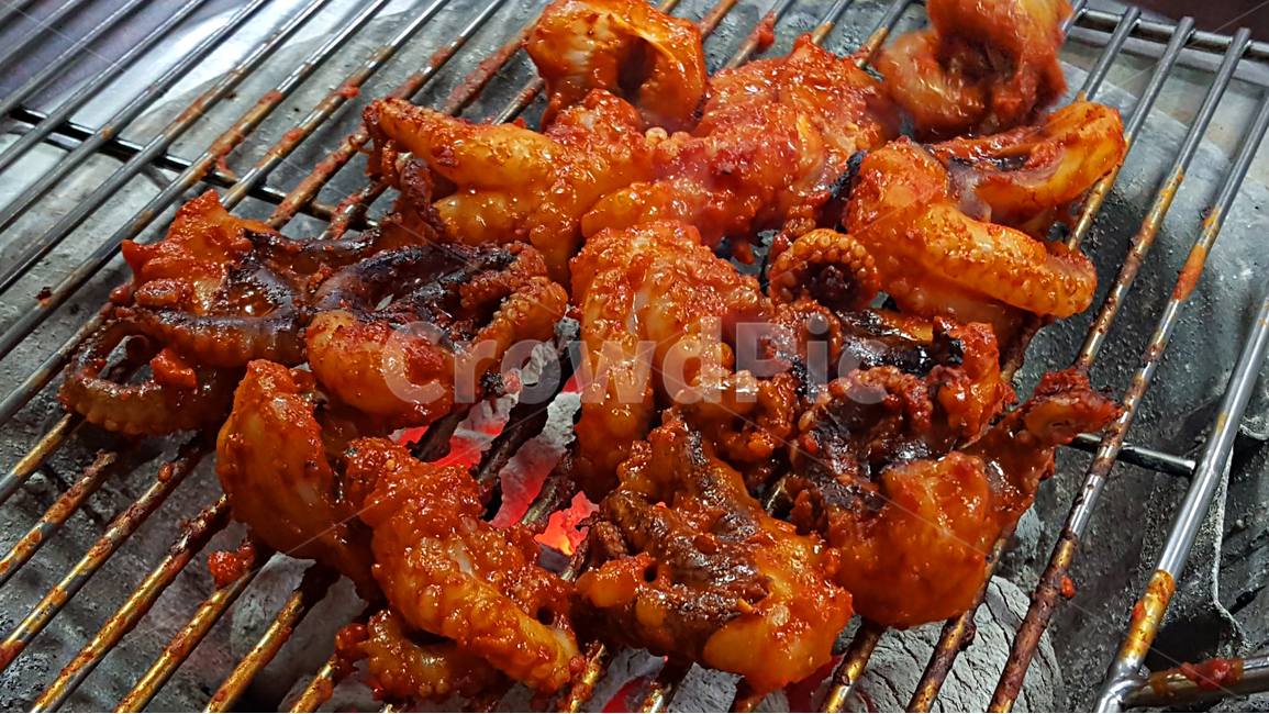 쭈꾸미,구이,쭈꾸미구이,매운양념,석쇠구이,음식,식재료,요리,food,cook,meal,dishes,food reserves,한식,한국음식,한국요리,korean food,korean dishes,korean meal,korean cook