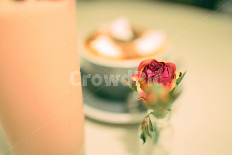 장미,음료,커피,주스,장미꽃,조화,유리병,인테리어,실내,테이블,카페,cafe,interior,inside,rose,coffee,juice,flower,feel,felling,감성,감성사진,몽환,식물,자연,plants,nature,꽃,flower,실내용화초,화분,화초,house plant,감성,sensible,feeling,색깔,색상,색채,색감,color sense,color sensitivity,feeling of color,인테리어,실내디자인,interior design