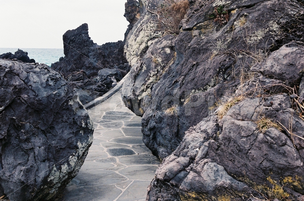 ​바다,차분,고요,제주,아날로그,감성,효신,필름사진,자연,자연,풍경,nature,landscape,outdoors,옥외