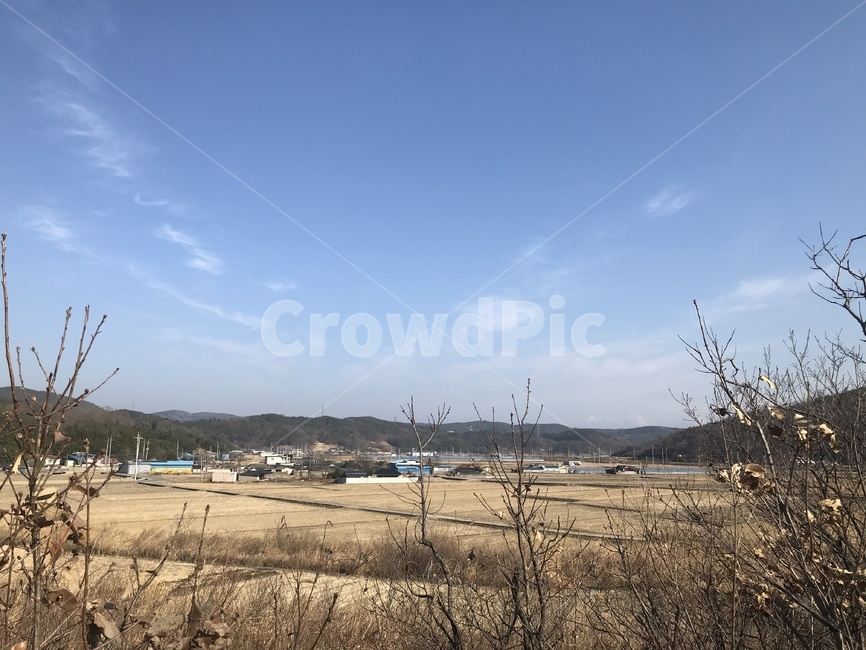 겨울들판,시골풍경,나뭇가지,하늘,겨울배경