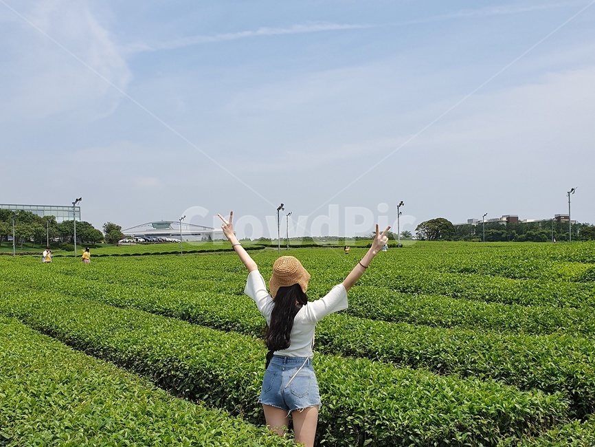 녹차밭,뒷모습,하늘,녹차,여자뒷모습,제주도녹차밭,greenteafarm,sky,greentea,appearancefrombehind,longhair,긴머리,사람,인물,인간,human,person,여성,여자,woman,female,lady,여행,휴가,traveling,vacation,trip