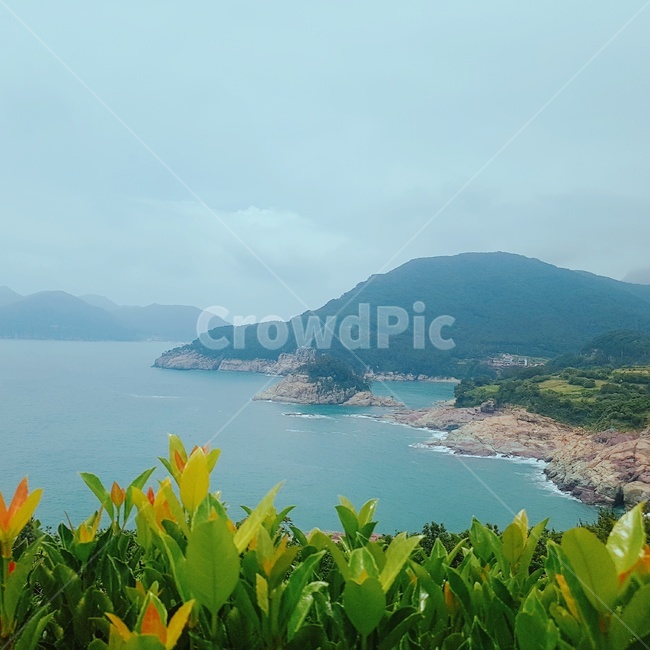 섬,바다,산,파도,식물,거제,풀,언덕,녹색,자연,풍경,배경,한국,산책,평화,감성