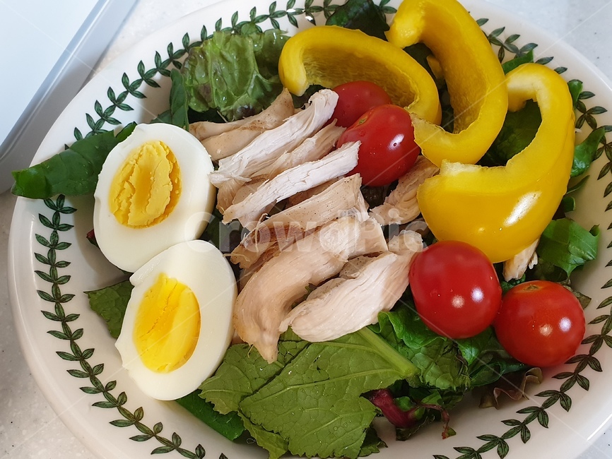 닭가슴살,토마토,파프리카,채소,다이어트,샐러드
