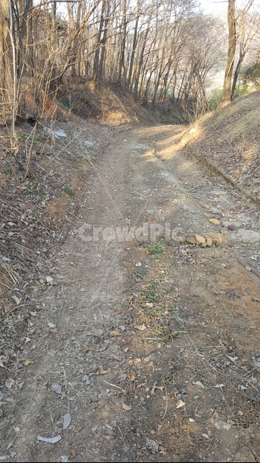 길,산길,비포장,외딴길,road,자갈,흙길,도로,gravel,dirtroad,ground,바닥,나무