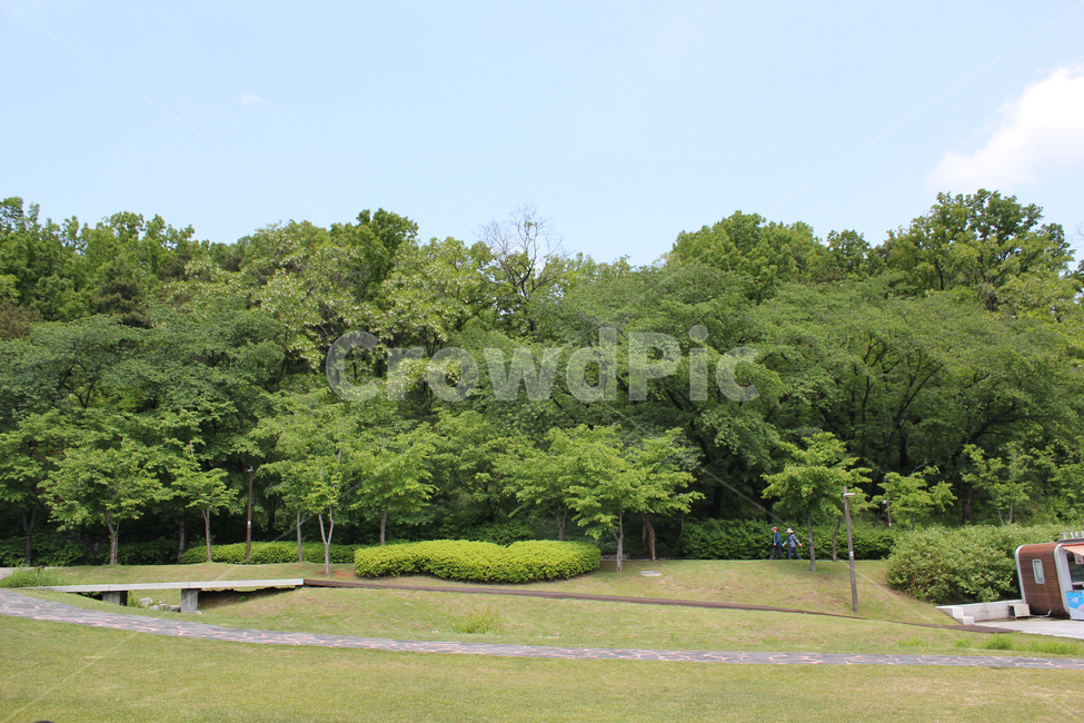북서울꿈의숲,공원,한국,서울,정원,그린,녹색,초록색,나무,잔디,풀,낮,낮하늘,파란하늘,파랑하늘,파랑,파란색,숲,조경,산책로,샌책길,잔디밭,풀밭,자연,자연,풍경,nature,landscape,grass,plant,식물,park,lawn,outdoors,옥외